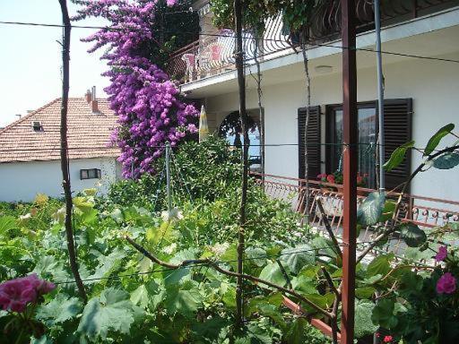 Apartment Knez Trogir Dış mekan fotoğraf